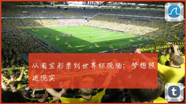 从淘宝彩票到世界杯现场：梦想照进现实